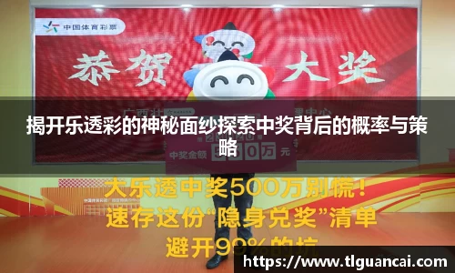 揭开乐透彩的神秘面纱探索中奖背后的概率与策略