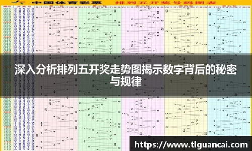 深入分析排列五开奖走势图揭示数字背后的秘密与规律